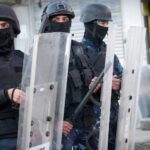 From Jungle Predator to Medical Pioneer: How Python Biology May Revolutionize the Fight Against Obesity