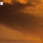 Why Many Americans Are Turning To AI for Health Advice, According to Recent Polls