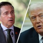 11 Things Jews Use for Sechach