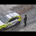 Trump Signs Order to Speed Review of Psychedelics, Including the Controversial Drug Ibogaine