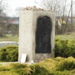 Trump Signs Order to Speed Review of Psychedelics, Including the Controversial Drug Ibogaine