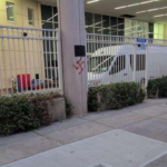  New York City Has Officially Lost its Mind