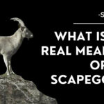 Parshas Acharei Mos-Kedoshim – Better Not Bitter