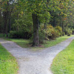 U. S. Jewish Organizations Urge Universities to Confront Rising Antisemitism as Federal Scrutiny Intensifies