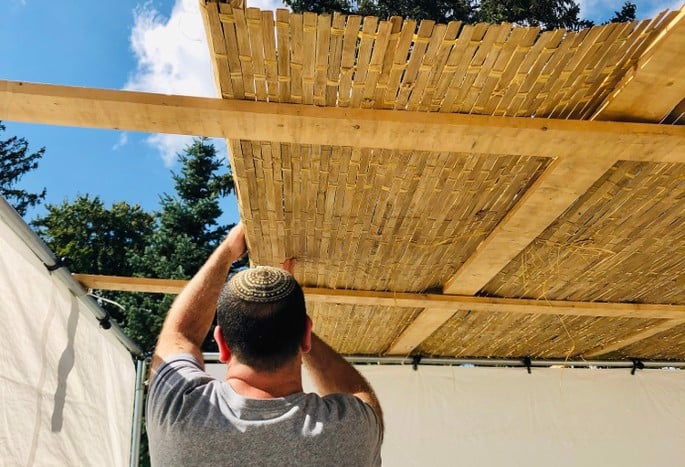 Unrolling a bamboo covering over the sukkah