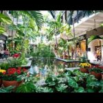 US ready to renew Iran strikes if Tehran rejects deal, says Hegseth