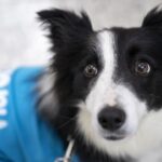 FTC sues Uber, alleging it signed up Uber One subscribers without their permission